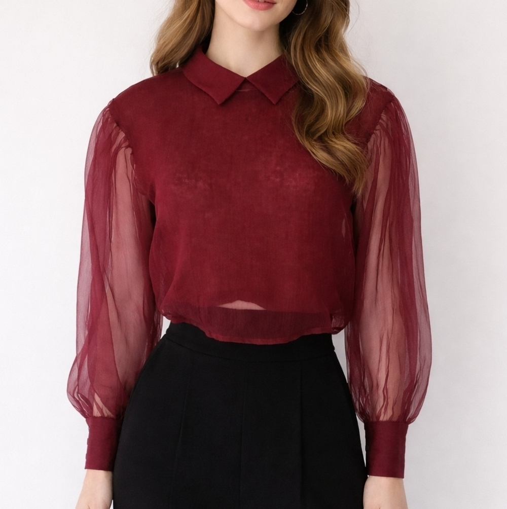 ZARA Dark Purple Alpaca Wool Lined Long Sleeve Organza Festival Crop Top